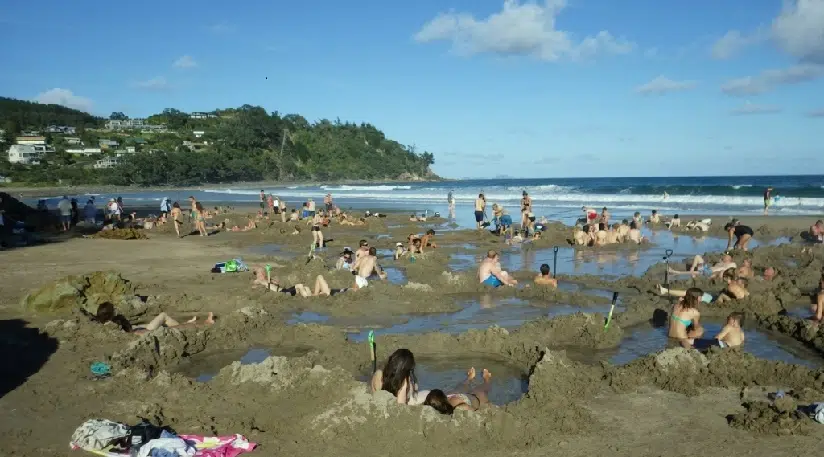 coromandel