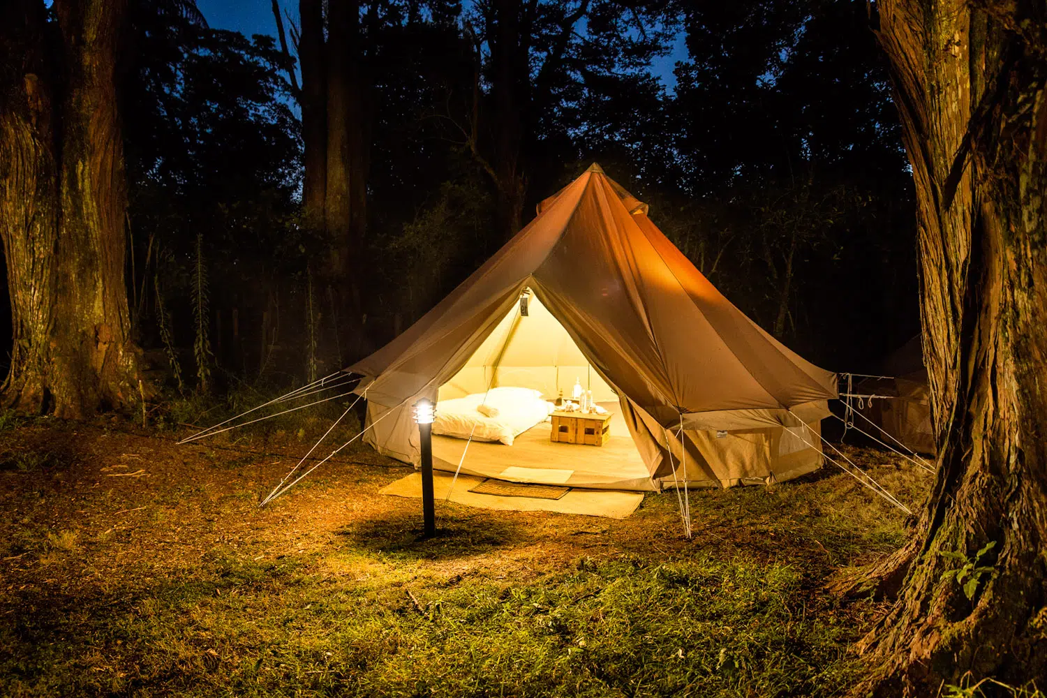 glamping forêt