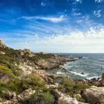 Corse