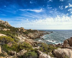 Corse