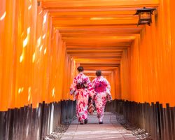 geisha japon