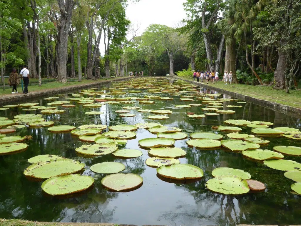 Balade dans le jardin botanique