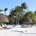 brown nipa hut on white sand beach during daytime
