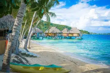 Découvrez les merveilles de l'île de Mako une destination paradisiaque