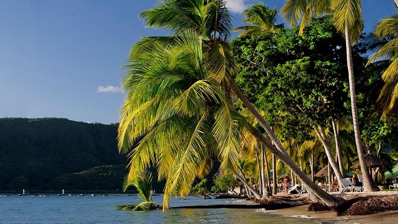 Où Trouver les Meilleurs Tarifs pour Martinique Club Med en Avril