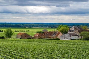 Découvrir la Bourgogne du Sud