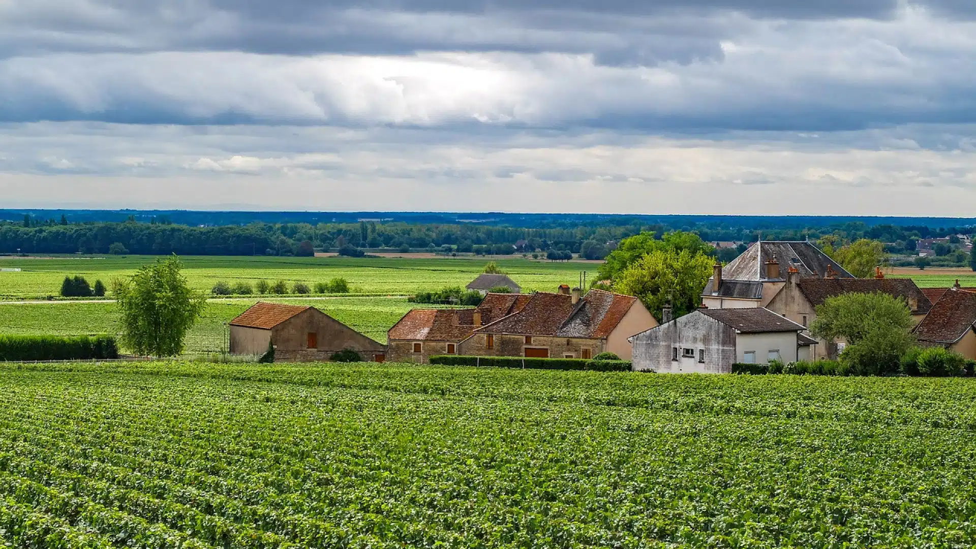 Découvrir la Bourgogne du Sud