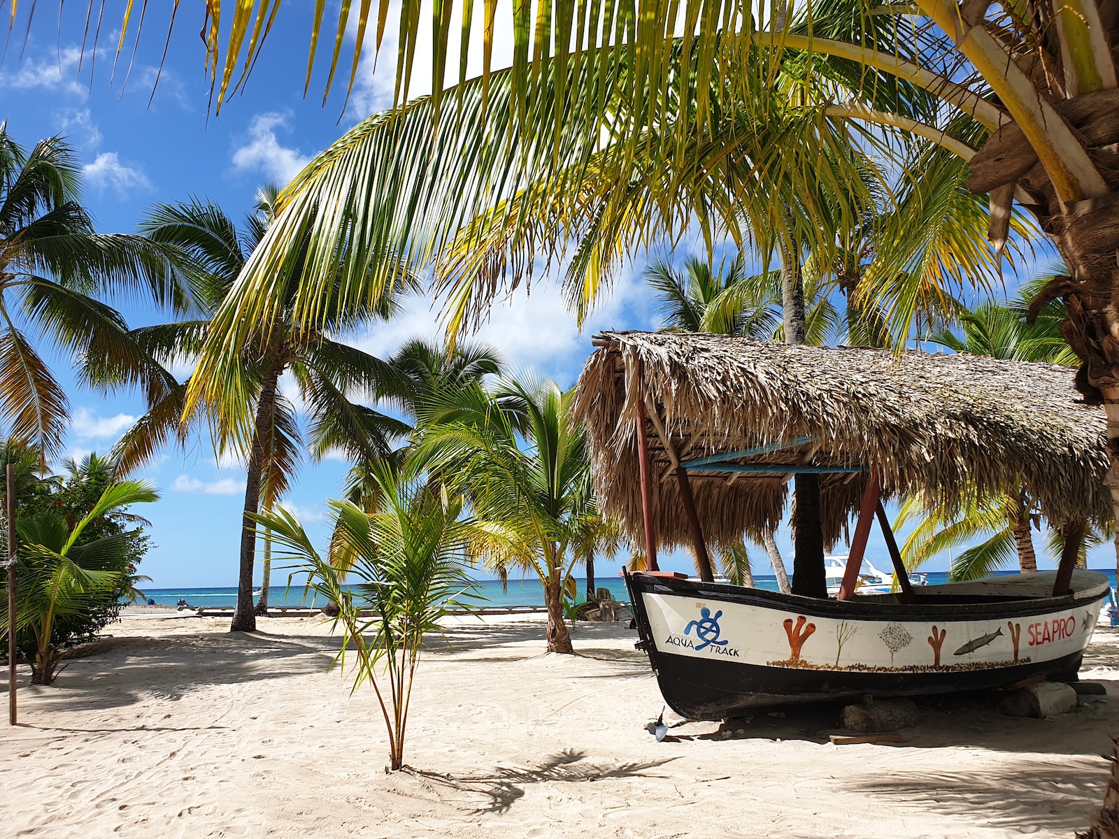 Île de Saona - République dominicaine : 5 bonnes raisons de faire une excursion