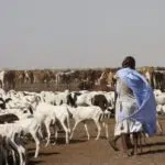 Mauritanie voyage