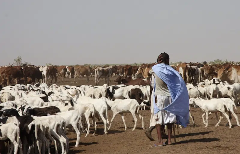 Mauritanie voyage