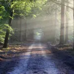 Réservez un gîte dans l'Orne pour des vacances reposantes